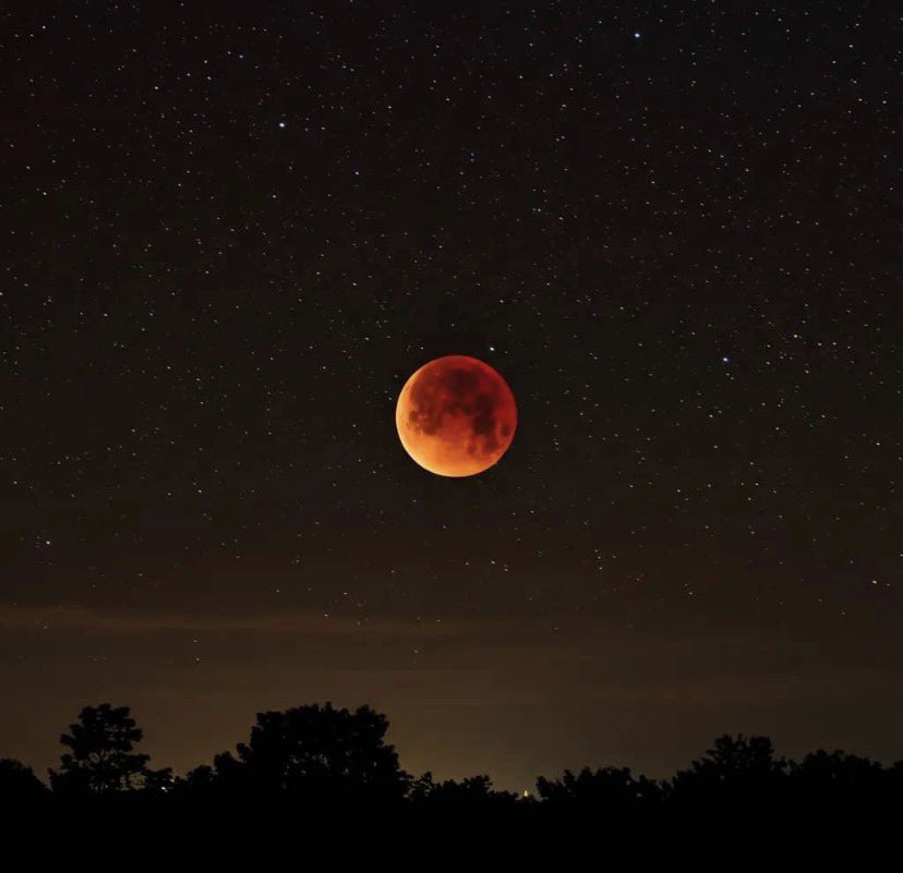 luné and &amp;team when they linked