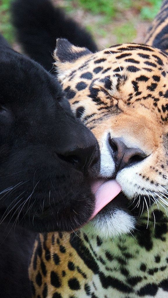 Beautiful views (@magicalnature5) on Twitter photo 