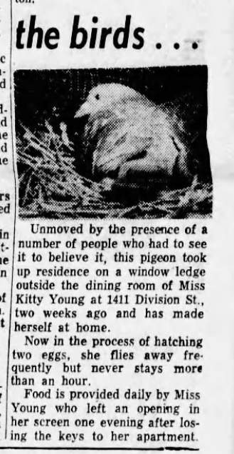 Behind The Lots tweet media