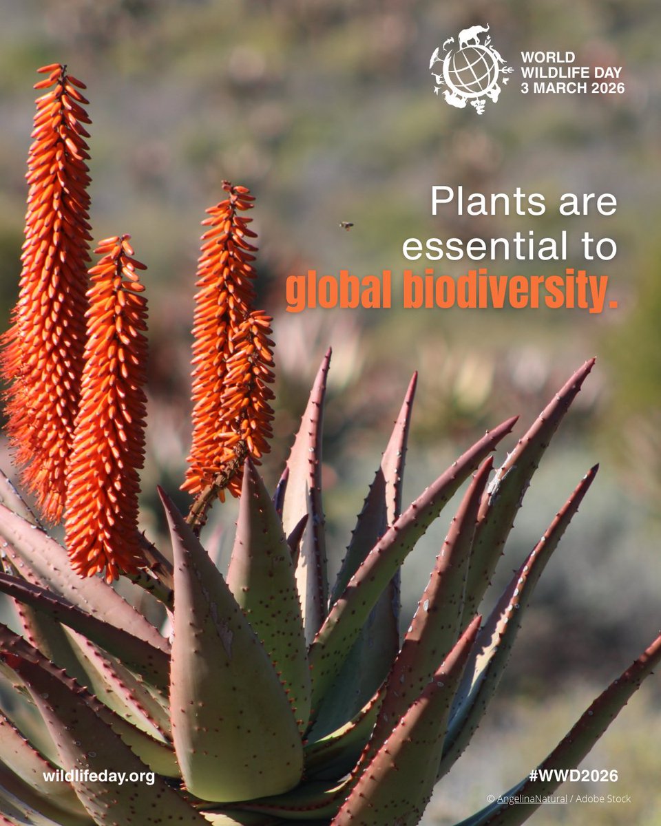 Key Biodiversity Areas tweet media