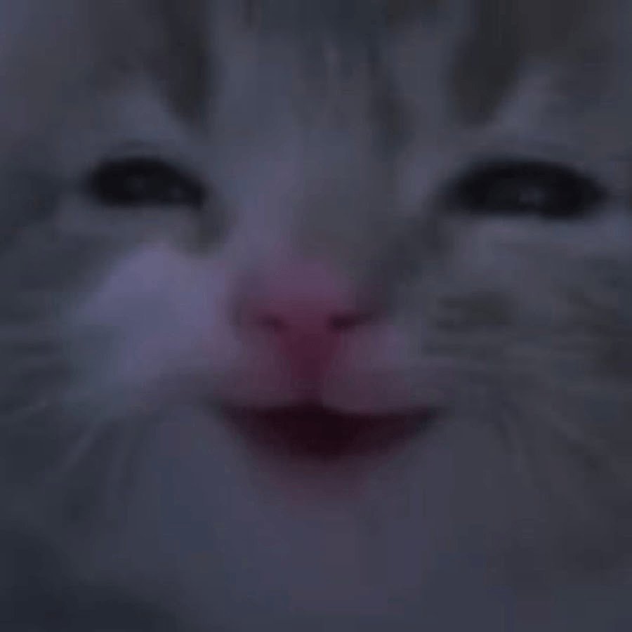 𝕾𝖙𝖆𝖓𝖑𝖊𝖞 tweet media