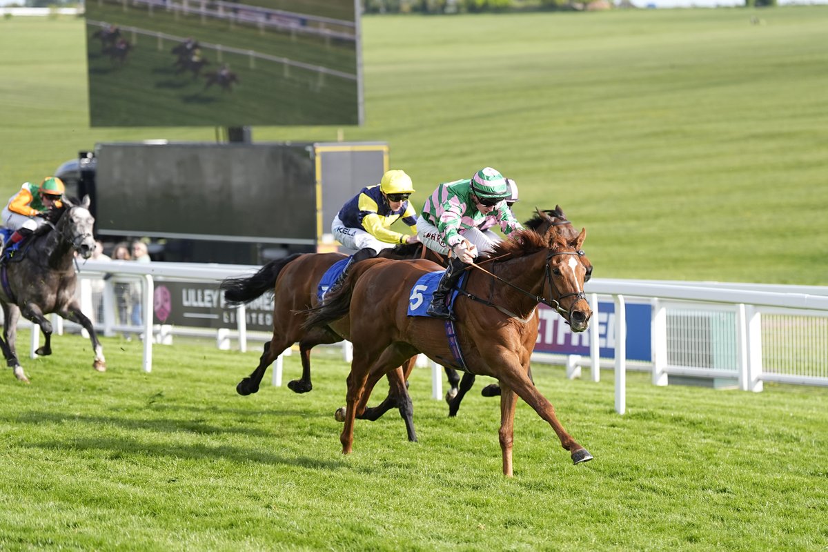 Epsom Downs Racecourse tweet media
