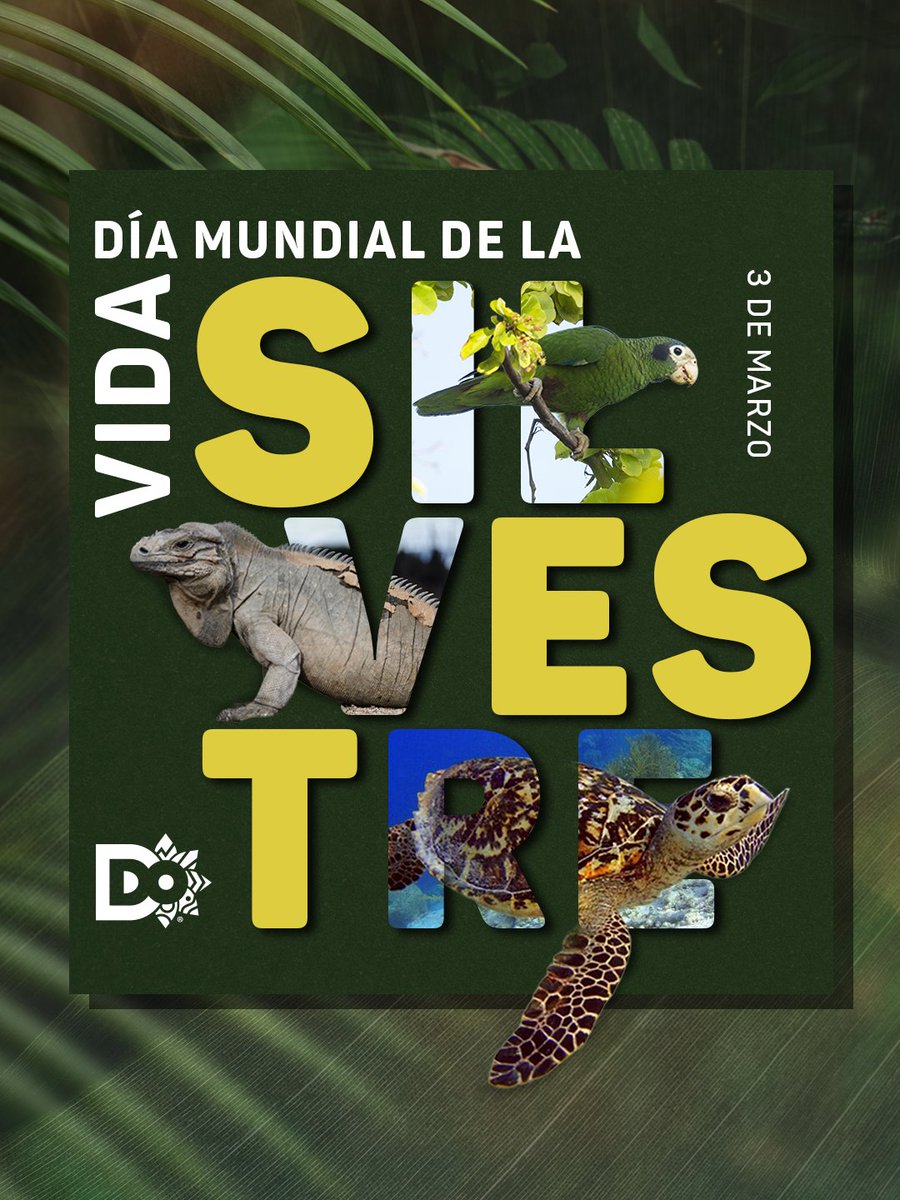 Marca País República Dominicana tweet media