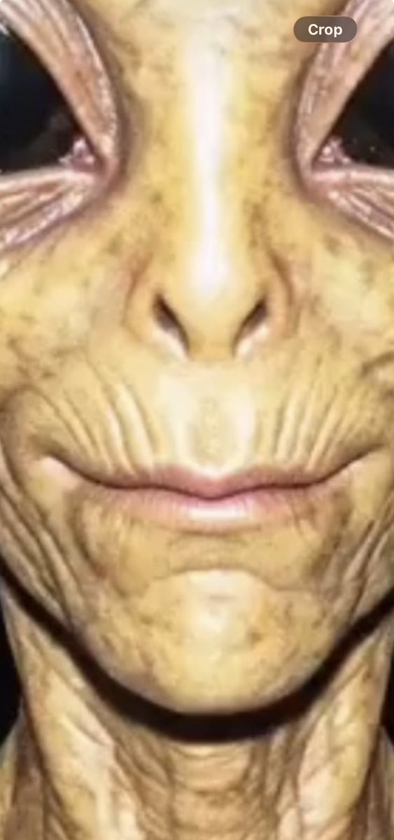 Jon Stewart tweet media