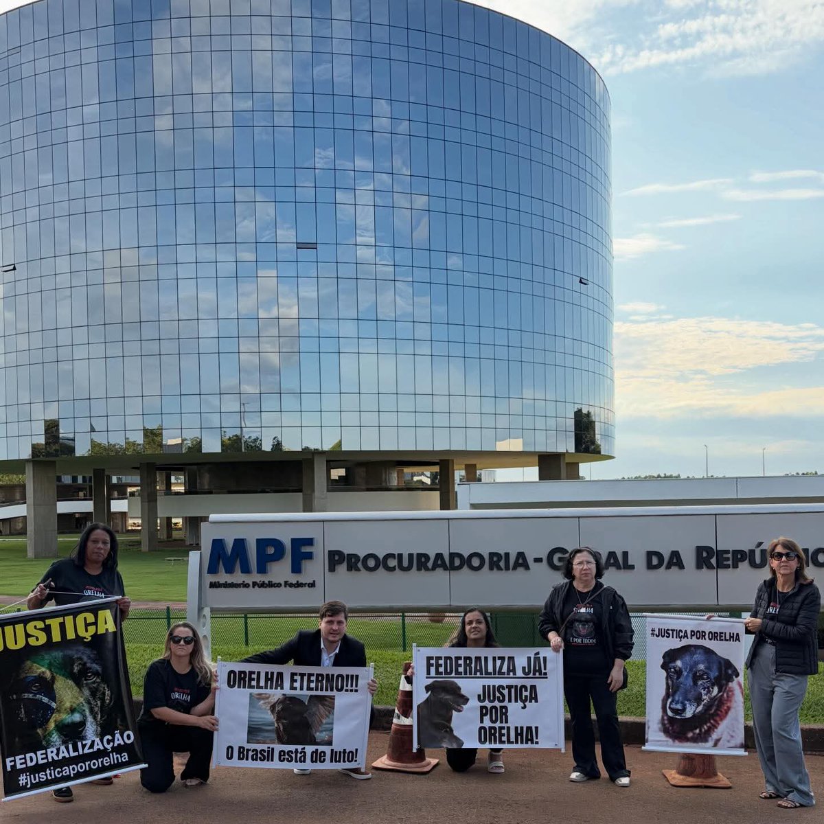 Lola 🧠🎯 tweet media