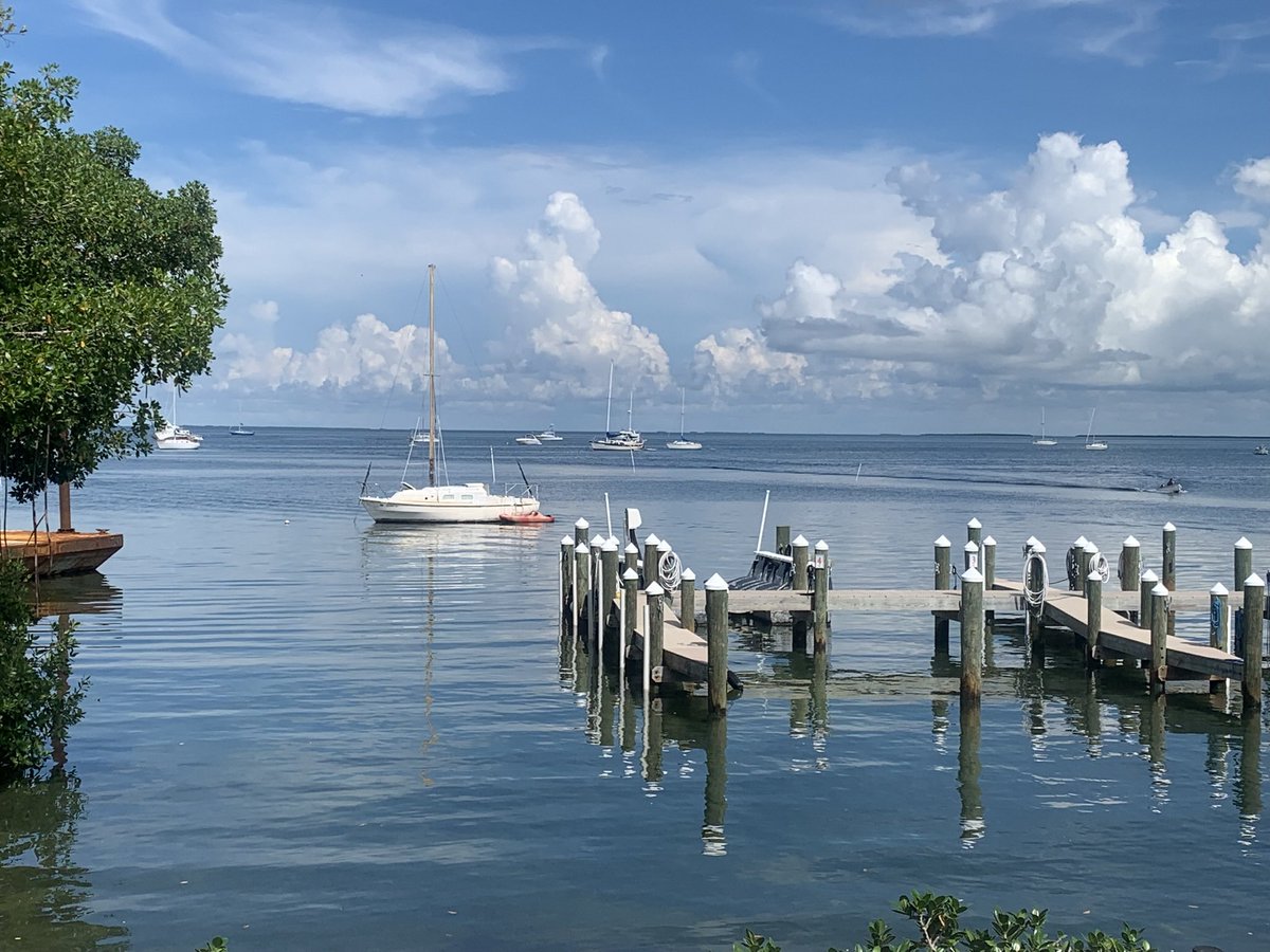 R🦋🦋🦋 tweet media