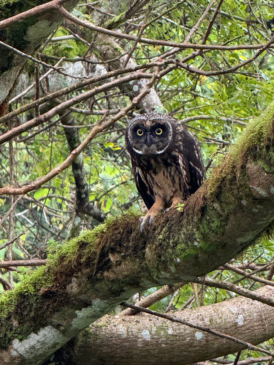 ConservationPhysiology tweet media