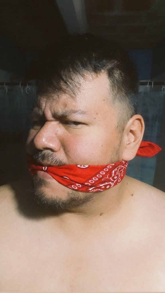 Alfredo González 🐻😏🎮🏳️‍🌈 (@alfredo38856046) on Twitter photo 