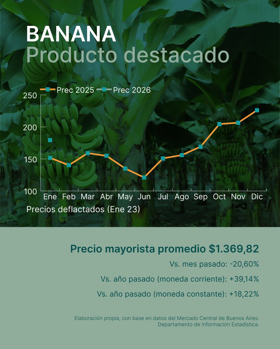 En contraste, la bananafue la principal excepción: cayó un 20,6% tras meses de aumentos, favorecida por mayor disponibilidad regional y el liderazgo de Salta, que produce con rendimientos superiores al promedio nacional.