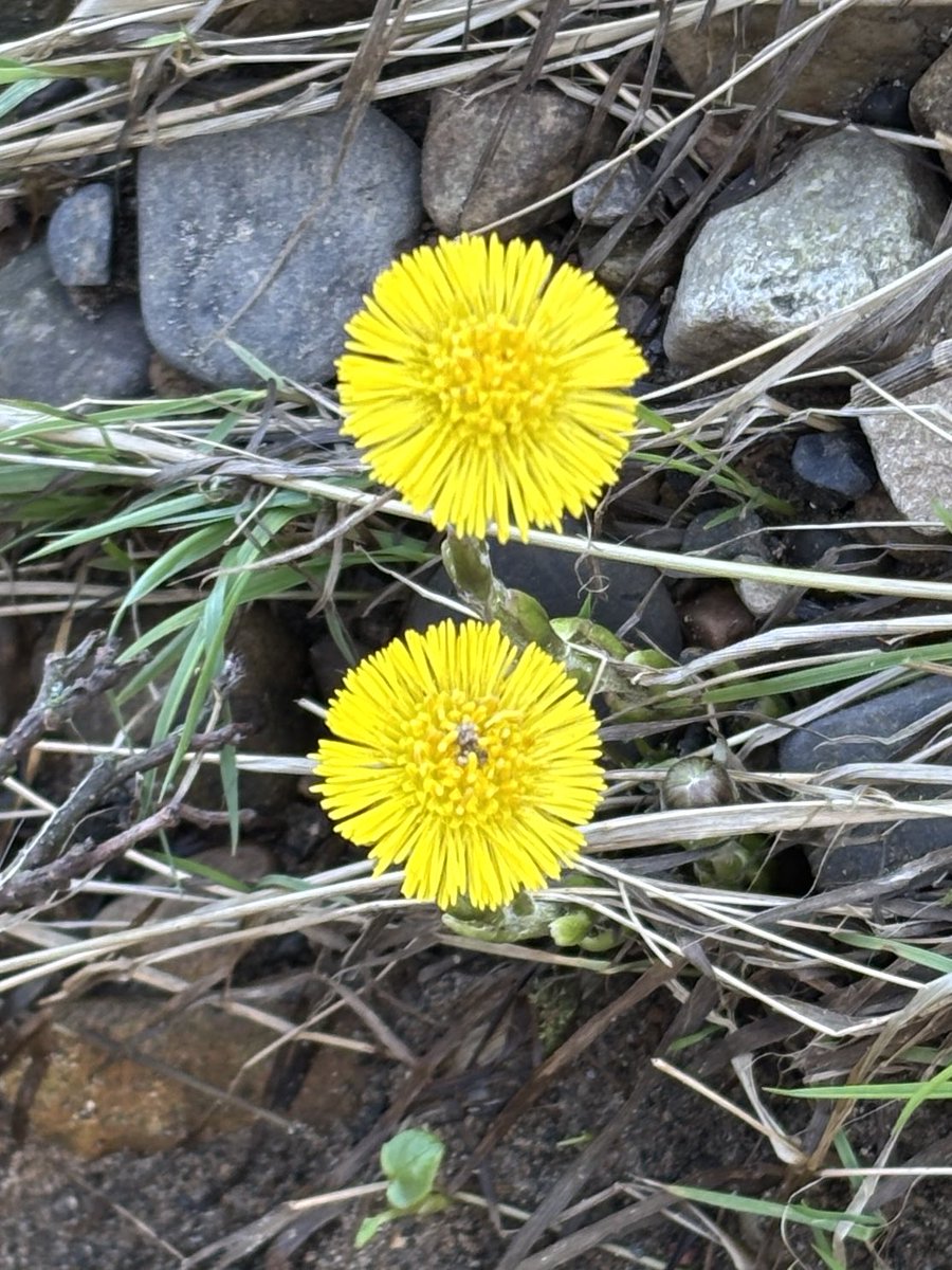 MartinWW❌ tweet media