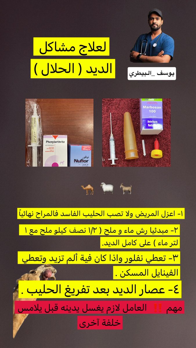 دكتور يوسف البيطري tweet media