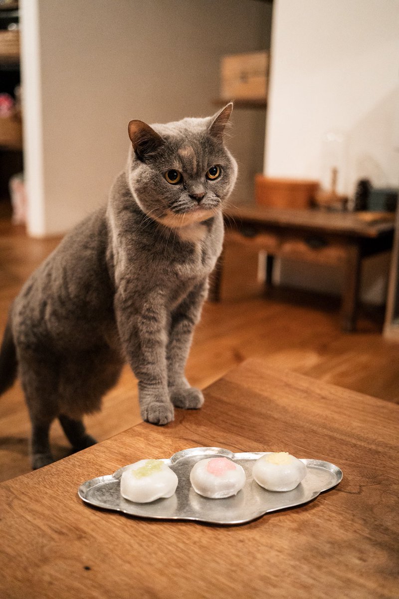 りさと@渋ビル研究会 tweet media