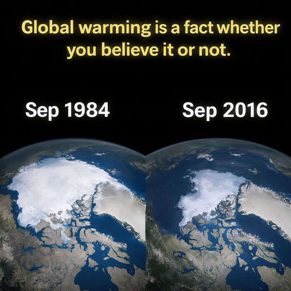 nasrene41's tweet image. Neil deGrasse Tyson 
#ClimateChangeIsReal

Global Warming Is A Fact Whether You Believe It Or Not ✔

#globalwarming — in New York, NY, United States.