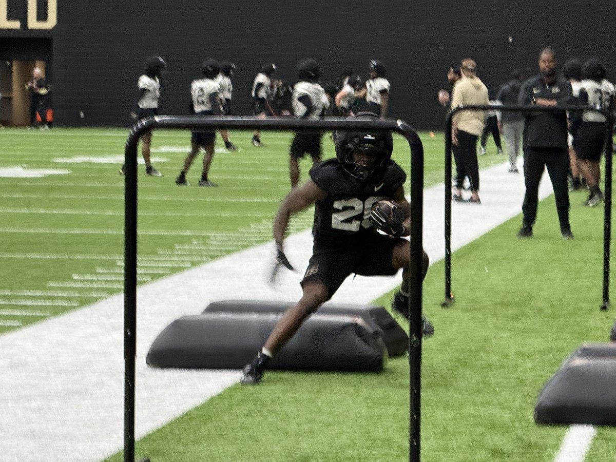 Sam King tweet media