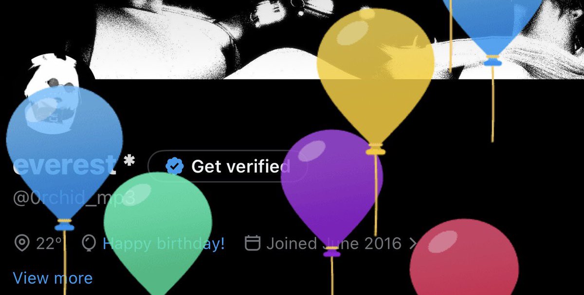 everest * tweet media