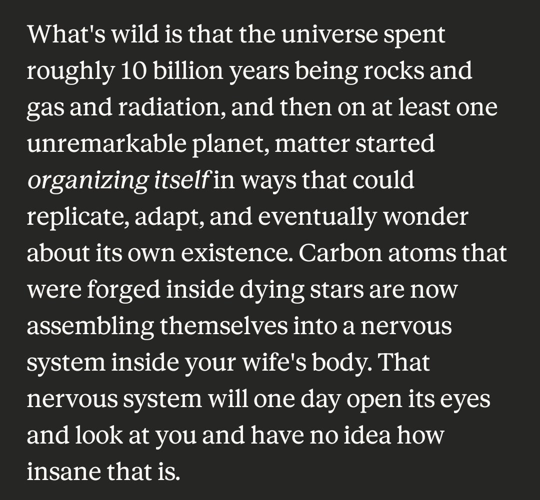 Steph France tweet media