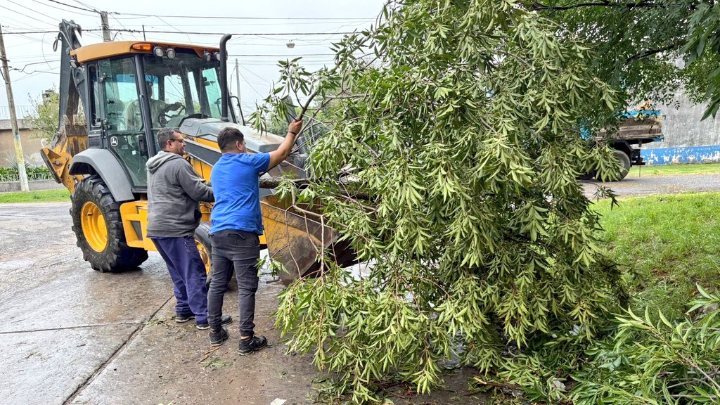 Secretaría de Ambiente y Espacio Público tweet media