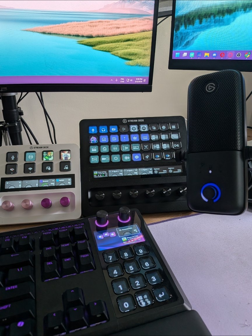 Mermaider🌊 tweet media