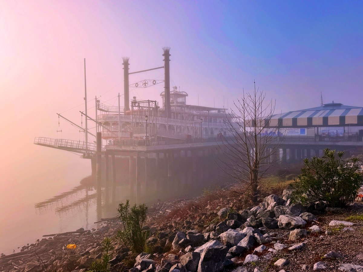 David Nola tweet media