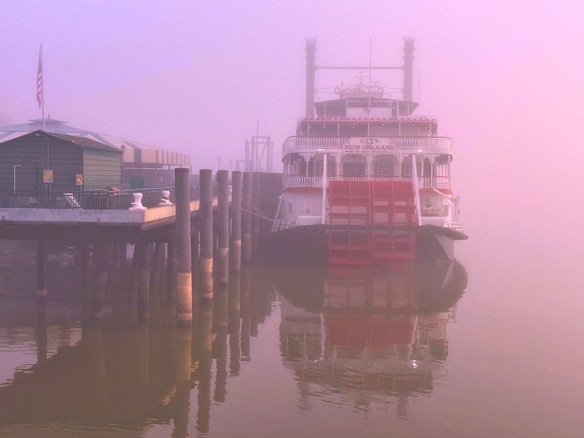 David Nola tweet media