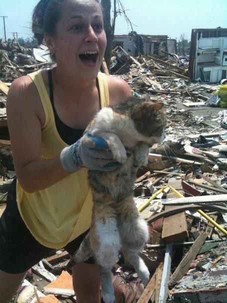 We don't deserve cats 😺 tweet media