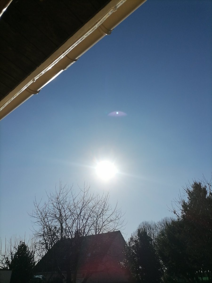 Crypto Meow Meows tweet media