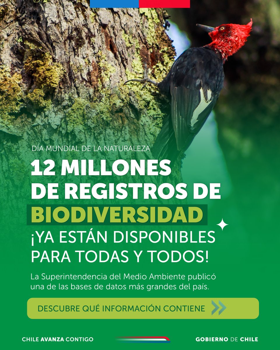 Superintendencia del Medio Ambiente tweet media