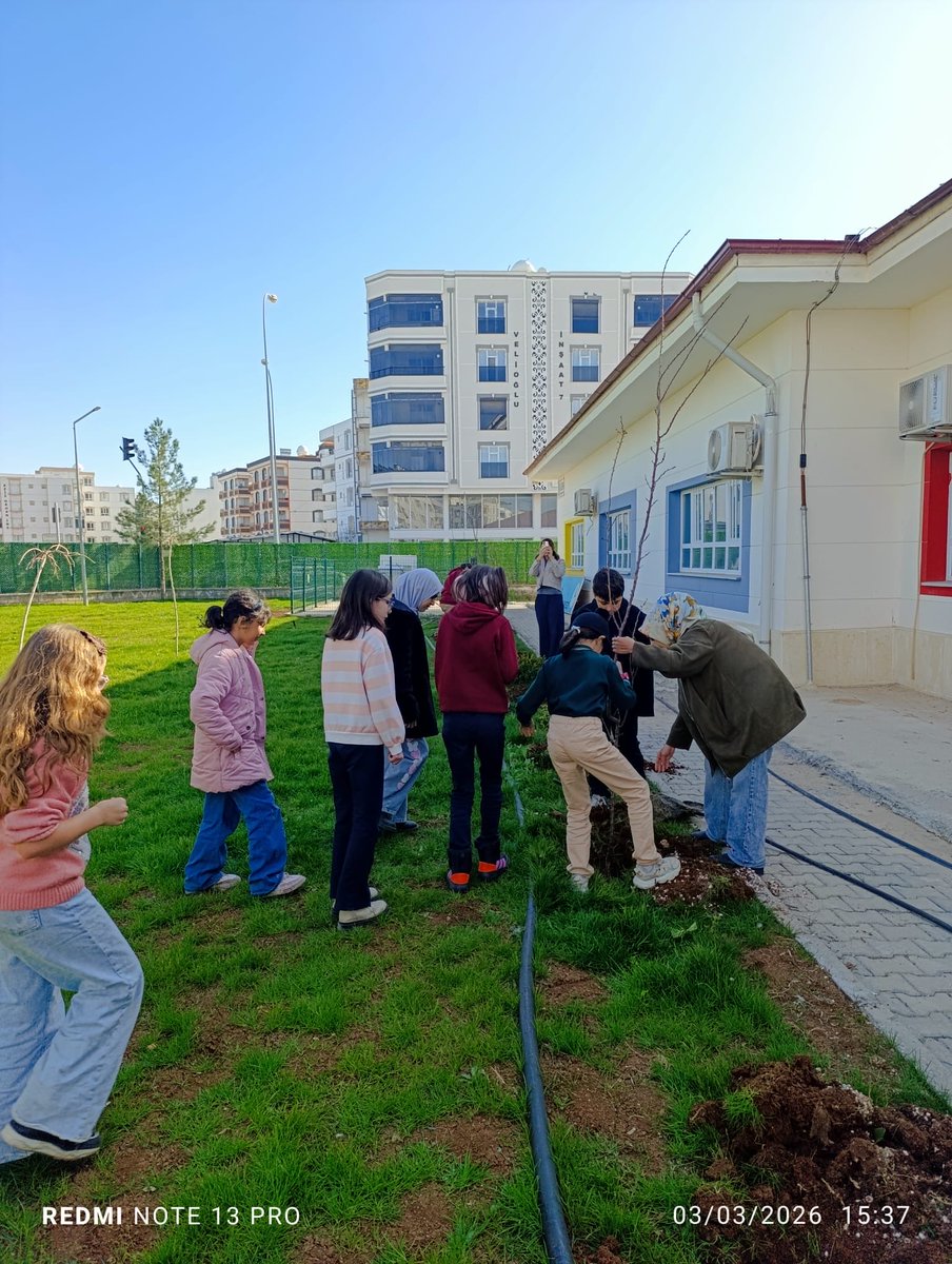 VBilsem's tweet photo. 🌱🌳 Geleceğe Birlikte Nefes Olduk 🌳🌱
Okulumuzda öğrencilerimizle birlikte gerçekleştirdiğimiz ağaçlandırma çalışması kapsamında fidanlarımızı toprakla buluşturduk. 🌿
Emeği geçen öğrencilerimize ve katkı sağlayan herkese teşekkür ederiz. 💚 https://t.co/AkfgkX64QL