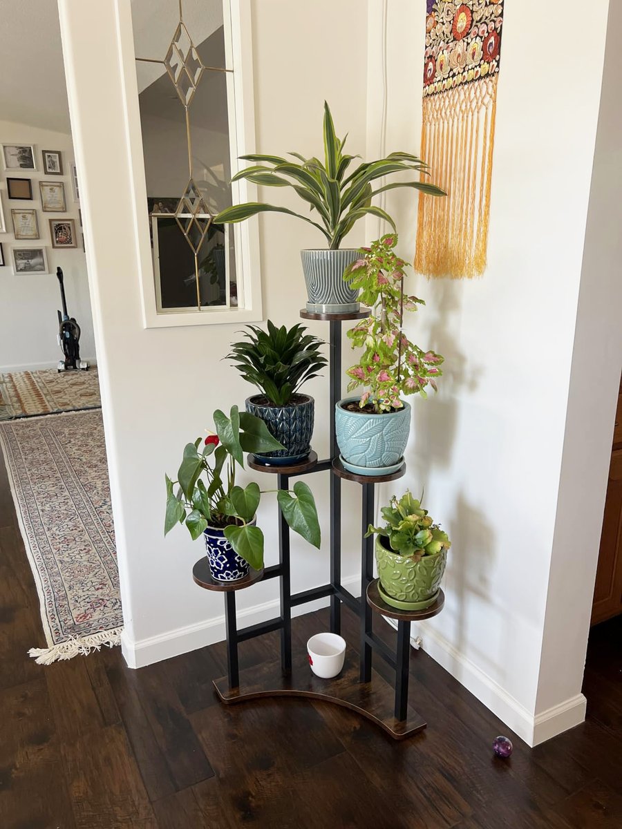 Tribesigns.com tweet media