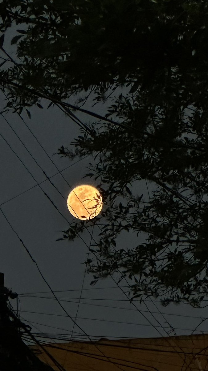 selunne's tweet photo. Anoche desde mi teléfono solo pude tomar esta Fotografía, luego a las 4am como si se tratase de una fuerza sobre natural me dijeron: levántate y sal al patio. Y lo hice. En la penumbra, en el eclipse. Y todo estaba nublado. Lunita al final. https://t.co/qu5QjgBcqH
