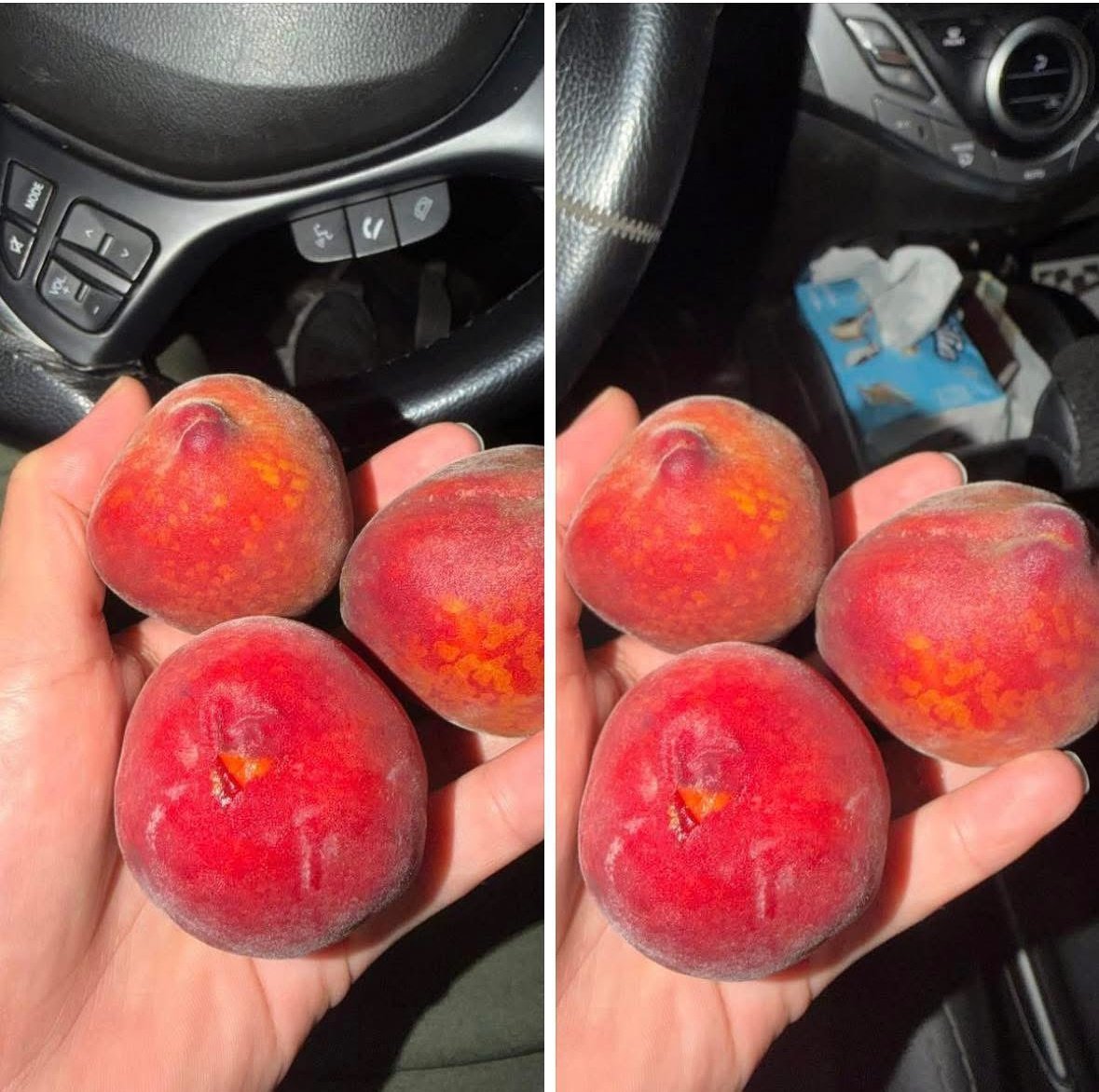 عندنا يسموه طماط عندكم ايش😁😁