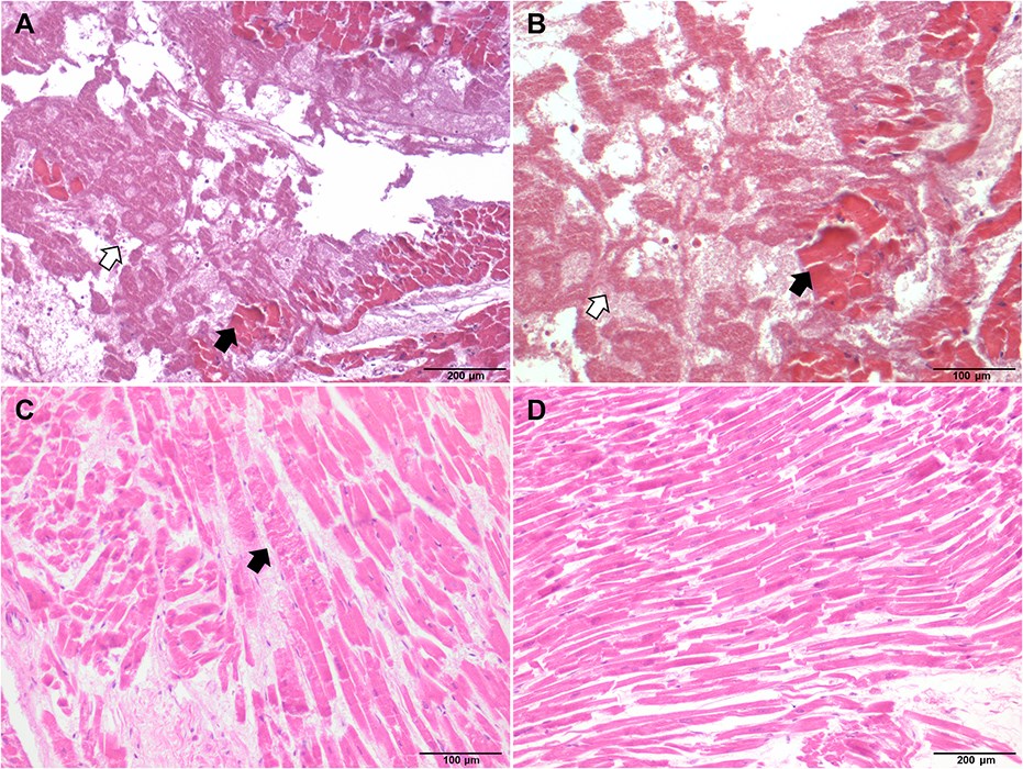 Forensic Sciences Research tweet media