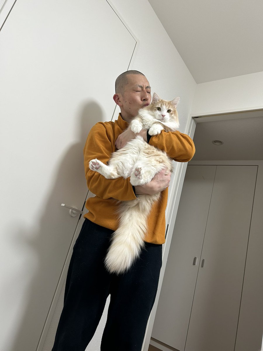 長毛種と短毛種

#猫
#ノルウェージャンフォレストキャット
#可愛さの中にある