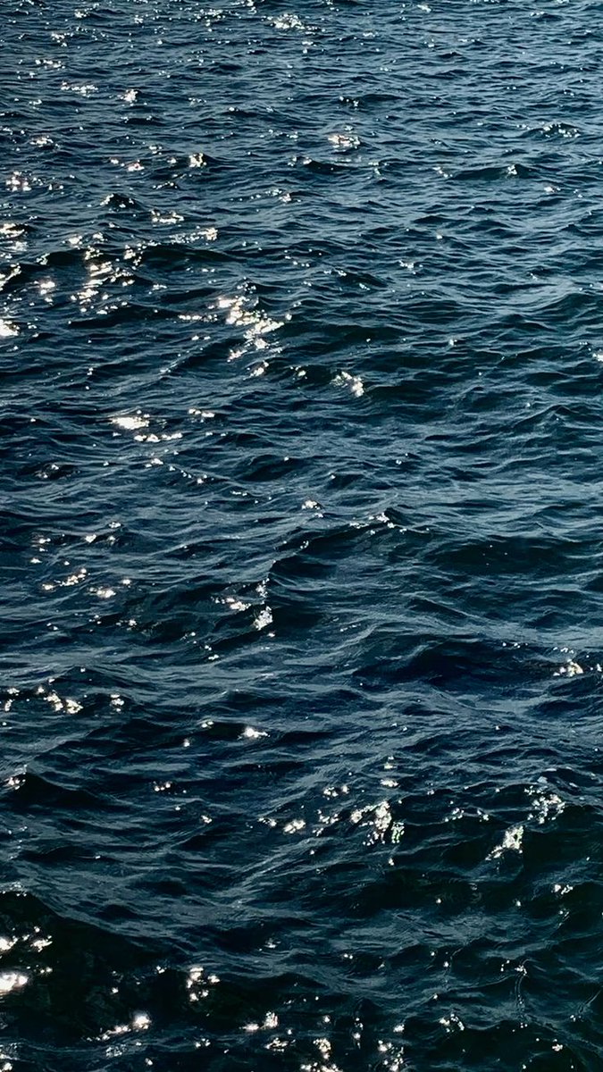 ocean (@hawsett4) on Twitter photo 