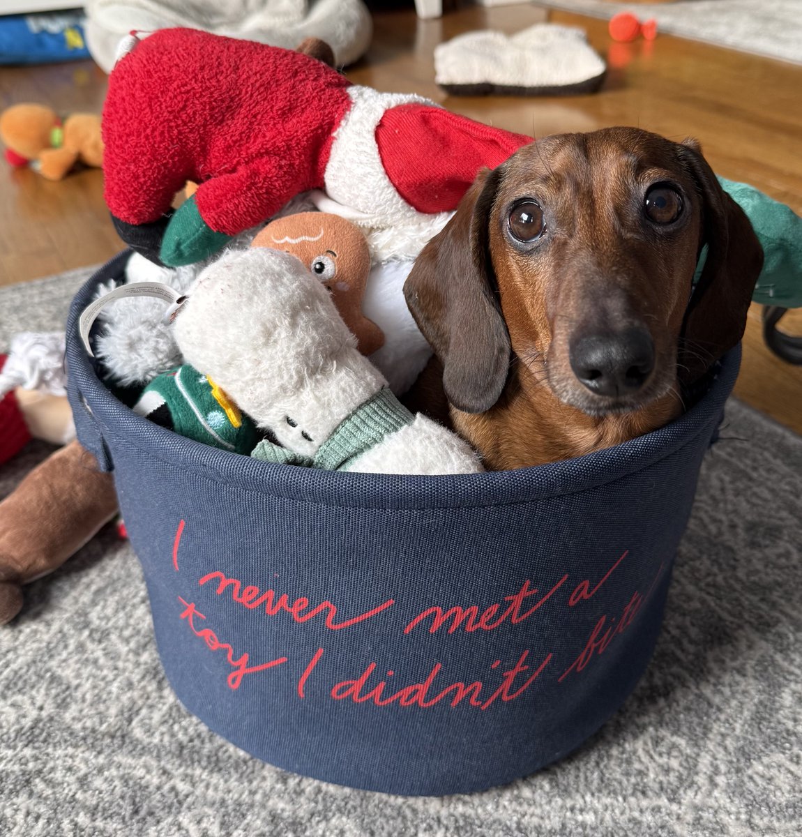 Itty Bitty Dog Mom (@IttyBittyDogMom) / Posts / X