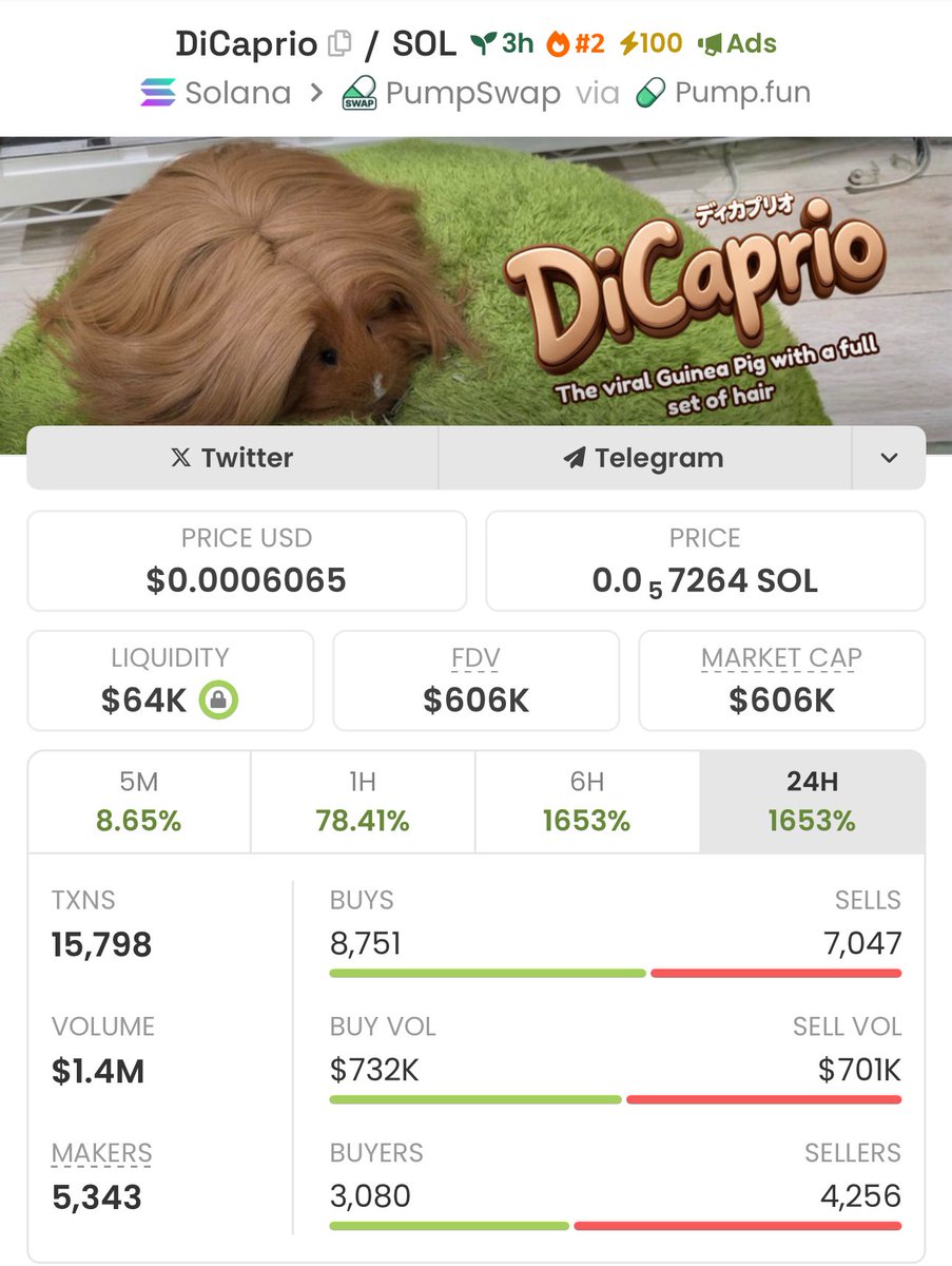 firepump_house's tweet image. 2.4x up from my call on $DiCaprio 

Send a DM to join my Private Group 🚀📊

Learn the chart. Master the timing. 

#Dicaprio #Solana #Memecoin #Nfts #Crypto #Bitcoin #Pumpswap #Binance
