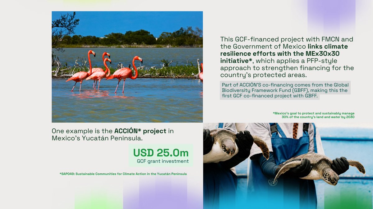 Green Climate Fund tweet media