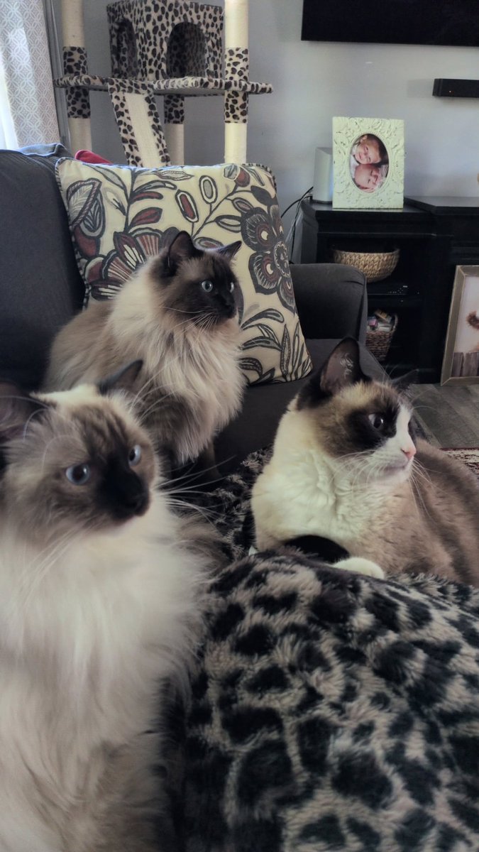 RuMpLePoOpSkinZ tweet media