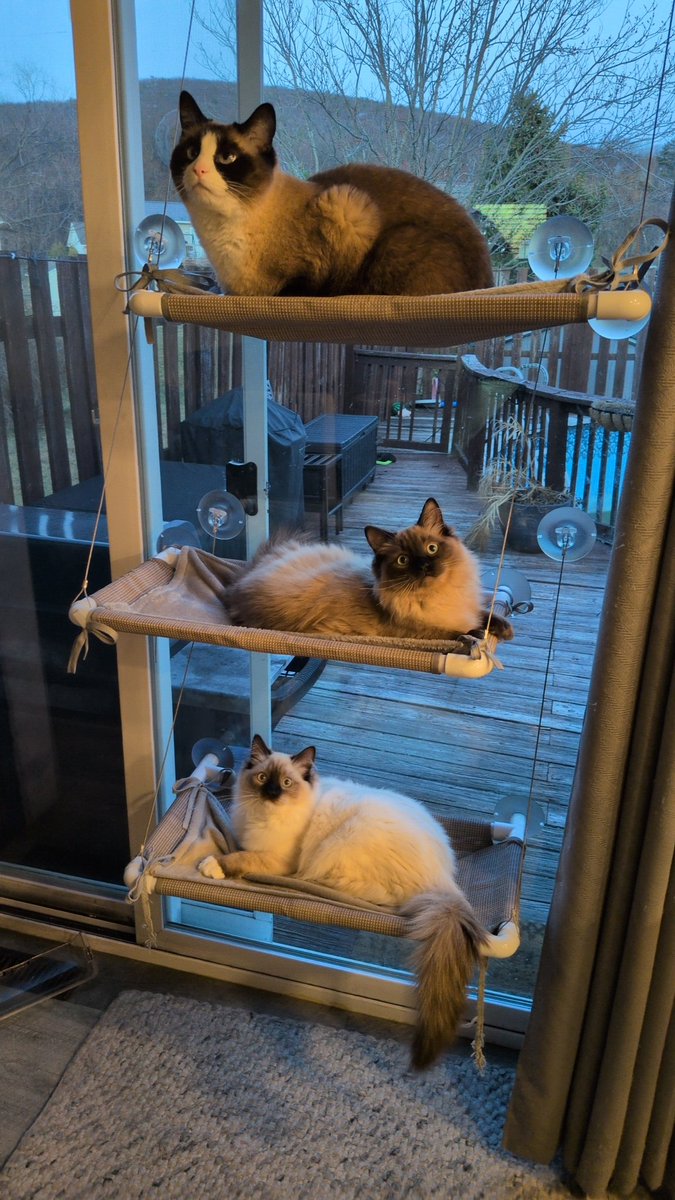 RuMpLePoOpSkinZ tweet media