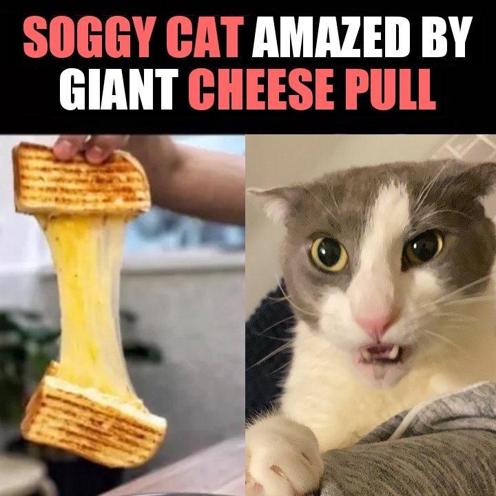 jukebox 💿 tweet media