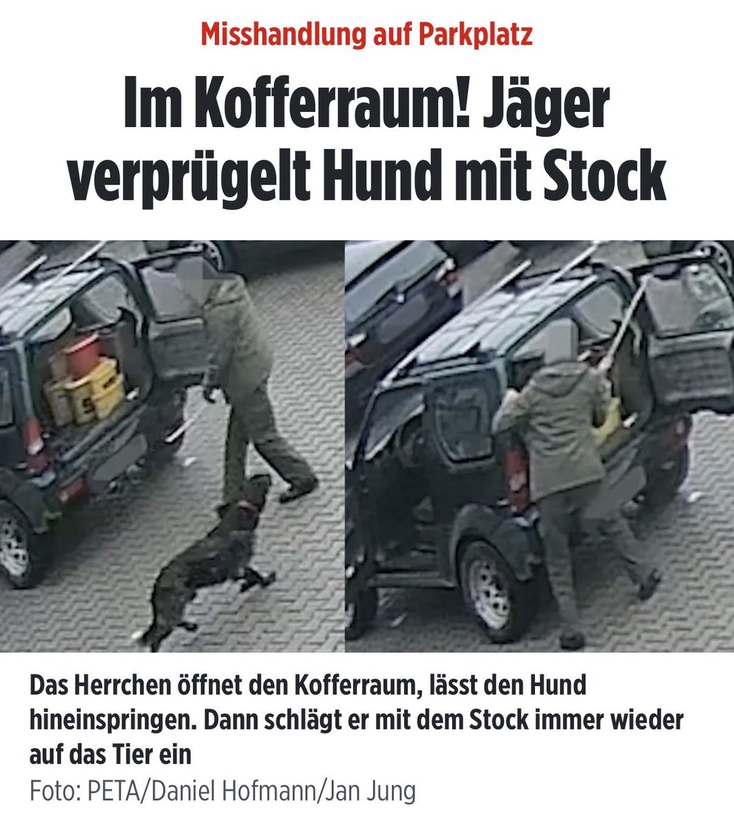 Michael 🇩🇪 tweet media