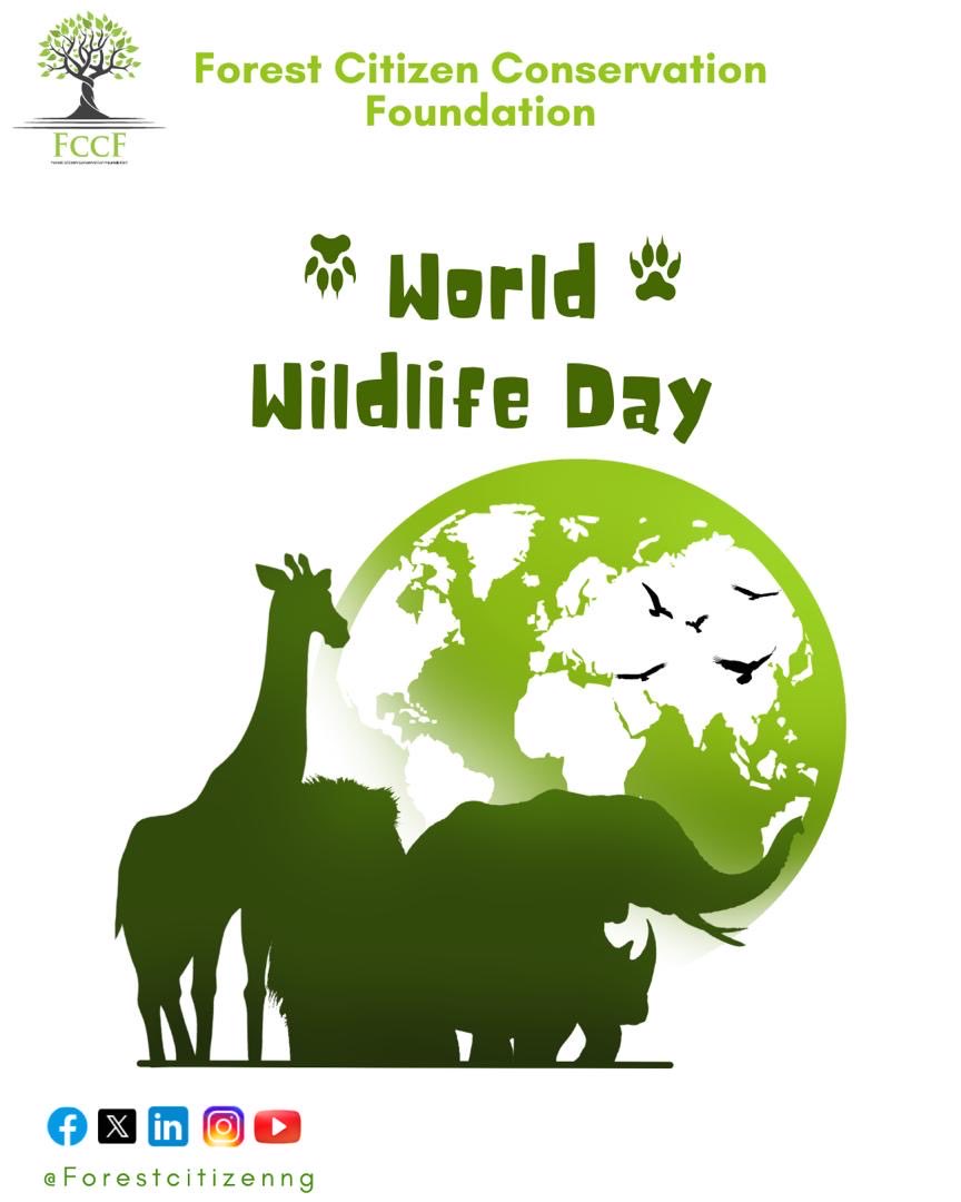 Forest Citizen Conservation Foundation tweet media