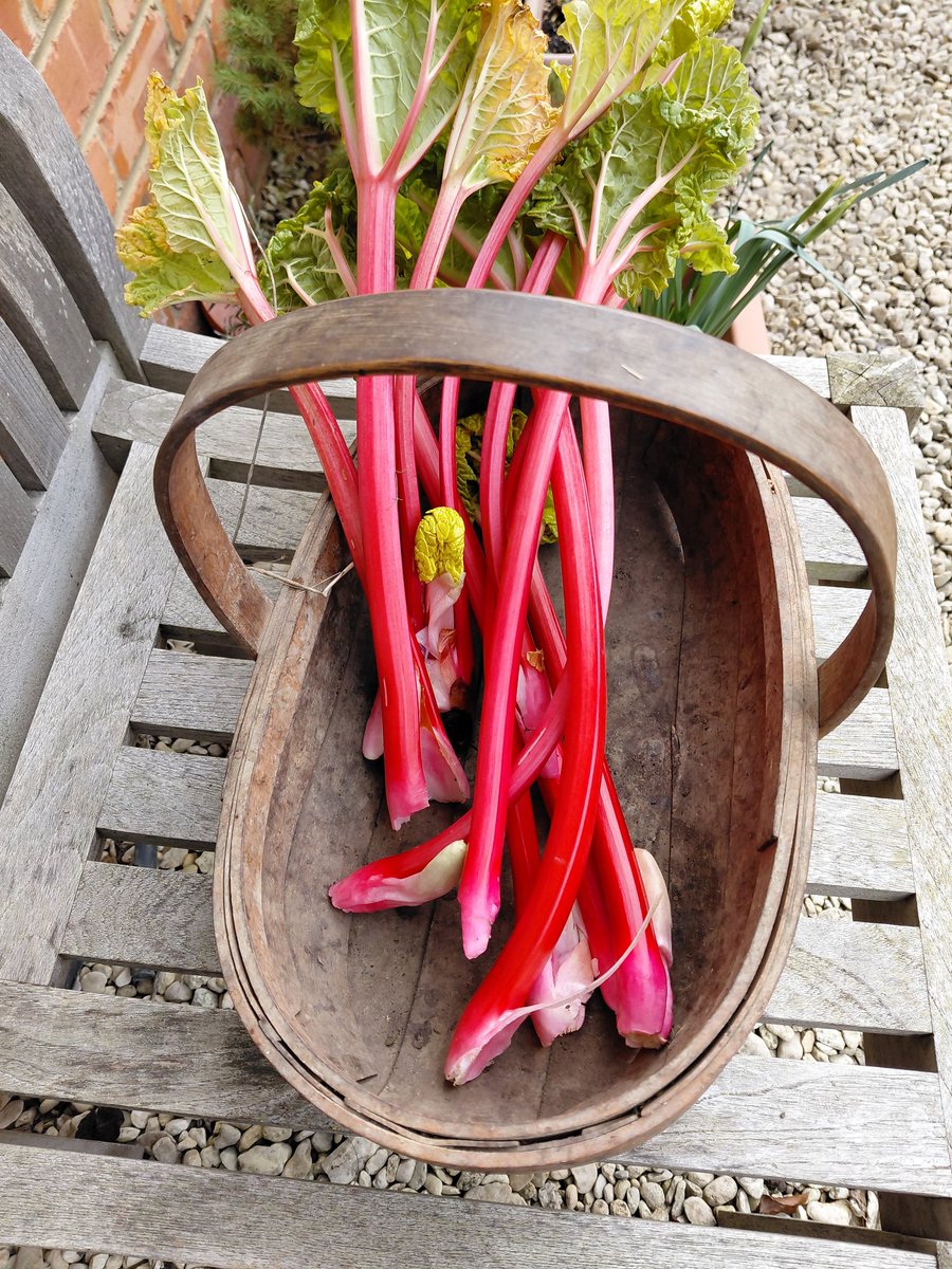 Michael Sanderson tweet media