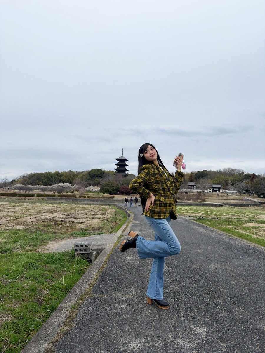 Lunachanlunar's tweet image. 蓮花も菜の花も
まだだったw
春はまだですか？？🌸
#springhascome