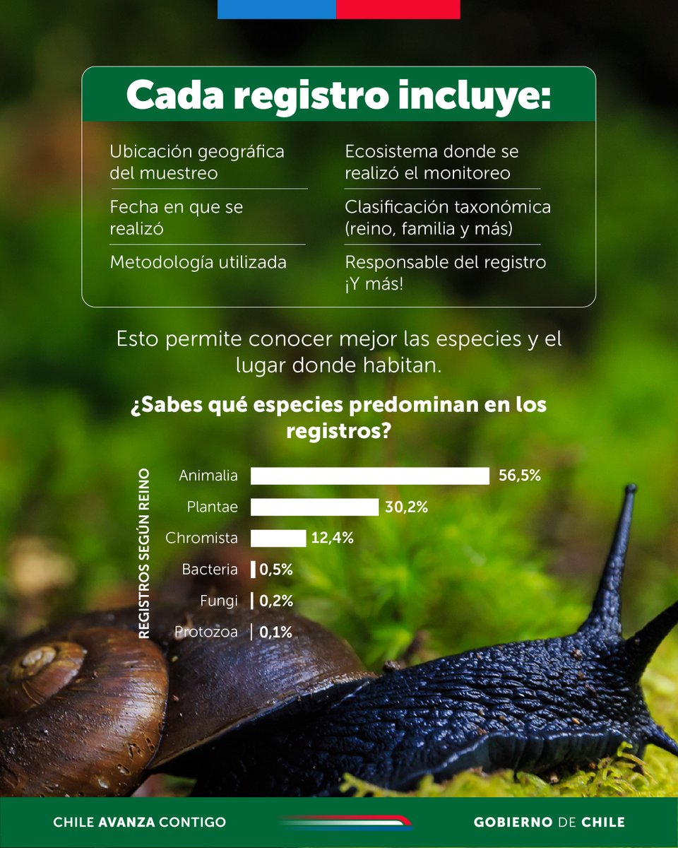 Superintendencia del Medio Ambiente tweet media