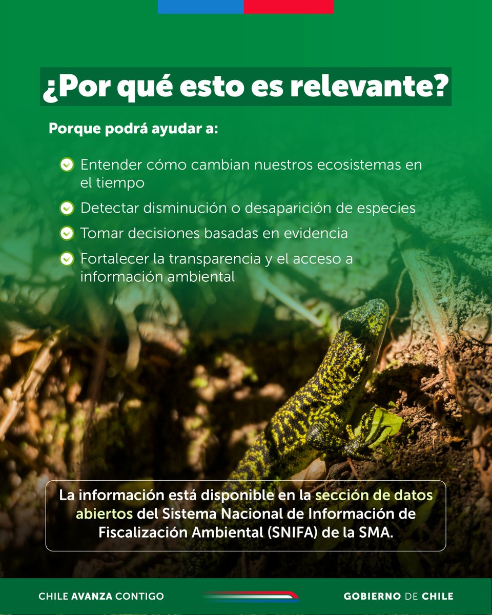 Superintendencia del Medio Ambiente tweet media