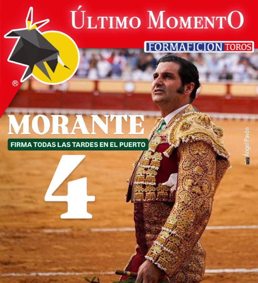 Formafición Toros tweet media