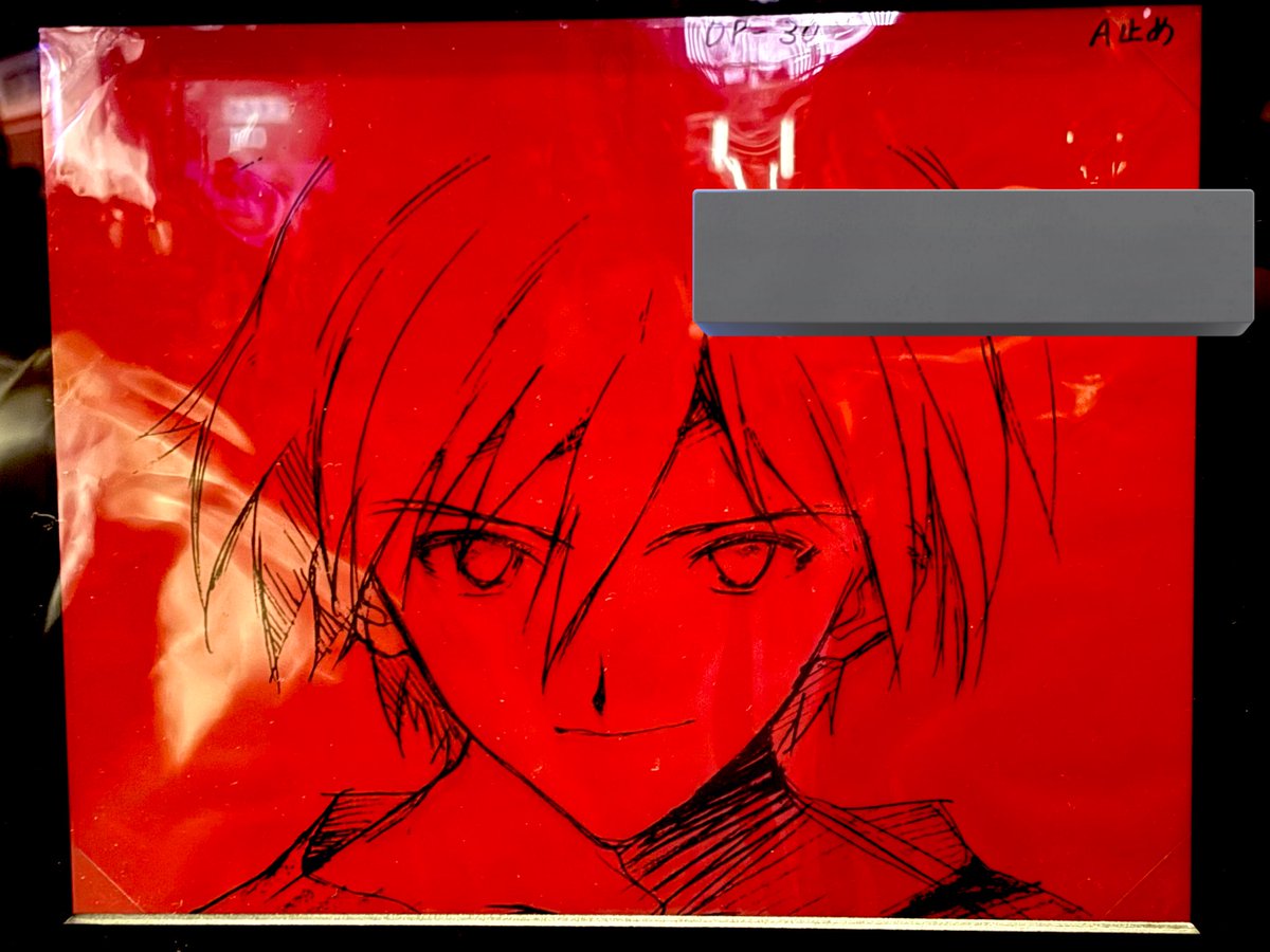 激アツだったセル画の一部。OPのサブリミナル渚カヲルの実物を見れたの