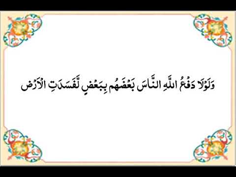 سالم المطاعني 🇴🇲 tweet media