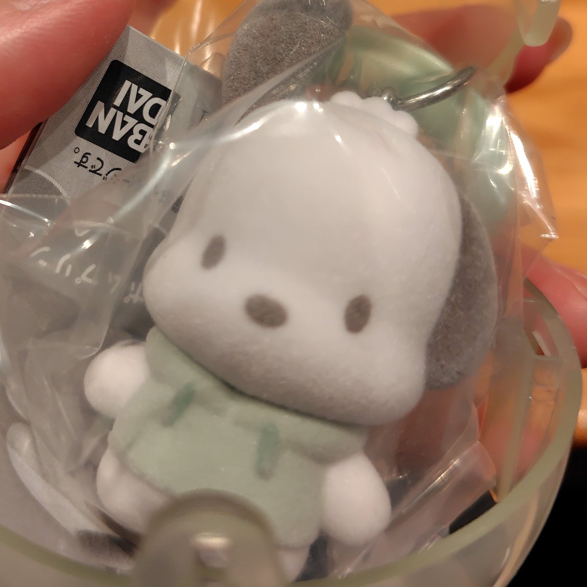 irodori_mint's tweet photo. サンリオキャラクターズ カラフルカラビナマスコットチャーム　交換　買取

【譲】ポチャッコ

【求】定価（+送料）

池袋手渡し、または郵送にて。
検索からもお気軽にお声がけ下さい。 https://t.co/Pyo4dMbw6R